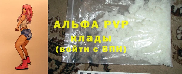 трава Белокуриха