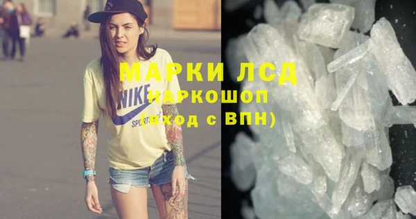 трава Белокуриха