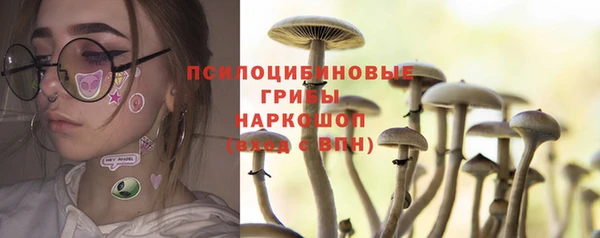 трава Белокуриха