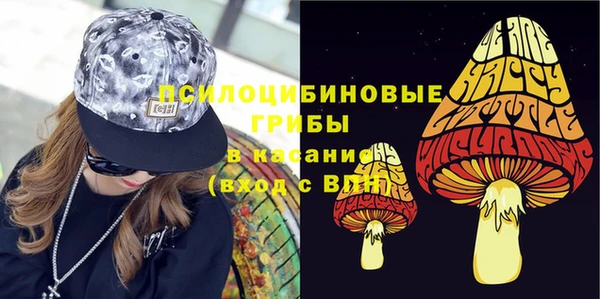 трава Белокуриха