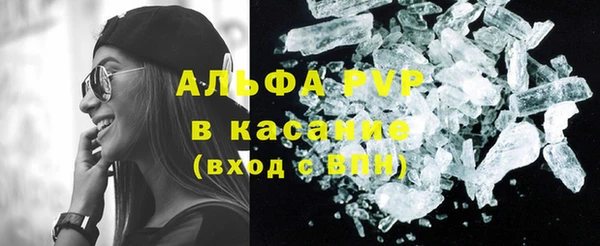трава Белокуриха