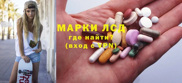 трава Белокуриха